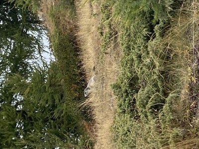 Ik fiets mee voor Bindkracht